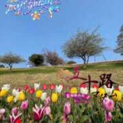 ヒメ日記 2025/04/17 00:02 投稿 鈴谷ゆうり 五十路マダム　和歌山店