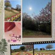 ヒメ日記 2025/04/17 23:40 投稿 鈴谷ゆうり 五十路マダム　和歌山店