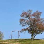 ヒメ日記 2025/04/18 13:40 投稿 鈴谷ゆうり 五十路マダム　和歌山店