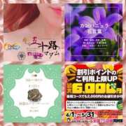 ヒメ日記 2025/04/23 06:20 投稿 鈴谷ゆうり 五十路マダム　和歌山店