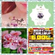 ヒメ日記 2025/04/24 06:56 投稿 鈴谷ゆうり 五十路マダム　和歌山店