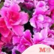 ヒメ日記 2025/04/26 19:36 投稿 鈴谷ゆうり 五十路マダム　和歌山店