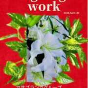 ヒメ日記 2025/04/29 23:44 投稿 鈴谷ゆうり 五十路マダム　和歌山店
