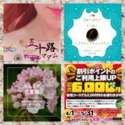 ヒメ日記 2025/04/30 05:22 投稿 鈴谷ゆうり 五十路マダム　和歌山店