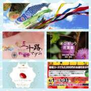 ヒメ日記 2025/05/05 11:00 投稿 鈴谷ゆうり 五十路マダム　和歌山店