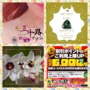 ヒメ日記 2025/05/16 05:54 投稿 鈴谷ゆうり 五十路マダム　和歌山店