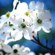 ヒメ日記 2025/05/18 02:08 投稿 鈴谷ゆうり 五十路マダム　和歌山店