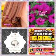 ヒメ日記 2025/05/18 12:30 投稿 鈴谷ゆうり 五十路マダム　和歌山店