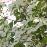 ヒメ日記 2025/05/18 12:54 投稿 鈴谷ゆうり 五十路マダム　和歌山店