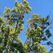 ヒメ日記 2025/05/18 14:32 投稿 鈴谷ゆうり 五十路マダム　和歌山店