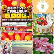 ヒメ日記 2025/05/26 05:28 投稿 鈴谷ゆうり 五十路マダム　和歌山店