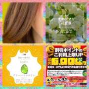 ヒメ日記 2025/05/27 09:08 投稿 鈴谷ゆうり 五十路マダム　和歌山店