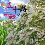 ヒメ日記 2025/05/29 21:16 投稿 鈴谷ゆうり 五十路マダム　和歌山店