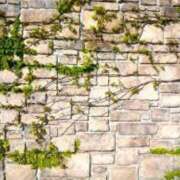 ヒメ日記 2025/06/05 21:36 投稿 鈴谷ゆうり 五十路マダム　和歌山店