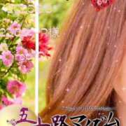 ヒメ日記 2025/06/07 08:28 投稿 鈴谷ゆうり 五十路マダム　和歌山店