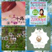 ヒメ日記 2025/06/07 09:56 投稿 鈴谷ゆうり 五十路マダム　和歌山店