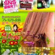 ヒメ日記 2025/06/12 06:20 投稿 鈴谷ゆうり 五十路マダム　和歌山店