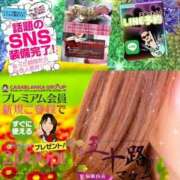ヒメ日記 2025/06/19 06:28 投稿 鈴谷ゆうり 五十路マダム　和歌山店