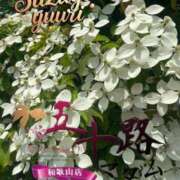 ヒメ日記 2025/06/20 08:22 投稿 鈴谷ゆうり 五十路マダム　和歌山店