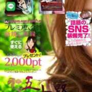 ヒメ日記 2025/06/22 11:40 投稿 鈴谷ゆうり 五十路マダム　和歌山店