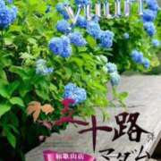 ヒメ日記 2025/06/24 15:34 投稿 鈴谷ゆうり 五十路マダム　和歌山店