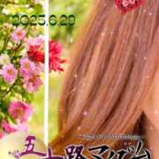 ヒメ日記 2025/06/29 11:38 投稿 鈴谷ゆうり 五十路マダム　和歌山店