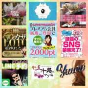 ヒメ日記 2025/07/04 12:42 投稿 鈴谷ゆうり 五十路マダム　和歌山店