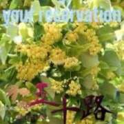 ヒメ日記 2025/07/09 15:12 投稿 鈴谷ゆうり 五十路マダム　和歌山店