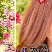 ヒメ日記 2025/07/11 07:44 投稿 鈴谷ゆうり 五十路マダム　和歌山店