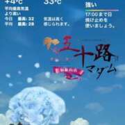 ヒメ日記 2025/07/13 13:56 投稿 鈴谷ゆうり 五十路マダム　和歌山店