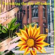 ヒメ日記 2025/07/16 11:30 投稿 鈴谷ゆうり 五十路マダム　和歌山店