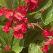 ヒメ日記 2025/07/16 19:58 投稿 鈴谷ゆうり 五十路マダム　和歌山店