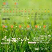 ヒメ日記 2025/07/24 06:52 投稿 鈴谷ゆうり 五十路マダム　和歌山店