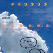 ヒメ日記 2025/07/28 16:24 投稿 鈴谷ゆうり 五十路マダム　和歌山店