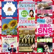 ヒメ日記 2025/08/05 06:46 投稿 鈴谷ゆうり 五十路マダム　和歌山店