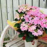 ヒメ日記 2025/08/07 18:06 投稿 鈴谷ゆうり 五十路マダム　和歌山店