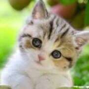 ヒメ日記 2025/08/07 23:54 投稿 鈴谷ゆうり 五十路マダム　和歌山店