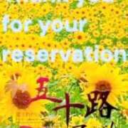 ヒメ日記 2025/08/20 17:54 投稿 鈴谷ゆうり 五十路マダム　和歌山店