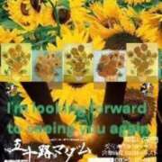 ヒメ日記 2025/08/23 11:58 投稿 鈴谷ゆうり 五十路マダム　和歌山店