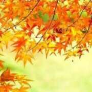 ヒメ日記 2025/09/06 10:46 投稿 鈴谷ゆうり 五十路マダム　和歌山店