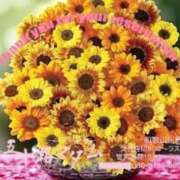 ヒメ日記 2025/09/12 11:46 投稿 鈴谷ゆうり 五十路マダム　和歌山店