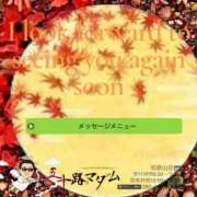 ヒメ日記 2025/09/16 09:40 投稿 鈴谷ゆうり 五十路マダム　和歌山店