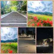 ヒメ日記 2025/09/29 03:36 投稿 鈴谷ゆうり 五十路マダム　和歌山店