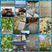 ヒメ日記 2025/10/11 07:44 投稿 鈴谷ゆうり 五十路マダム　和歌山店