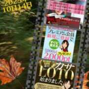 ヒメ日記 2025/10/14 06:46 投稿 鈴谷ゆうり 五十路マダム　和歌山店