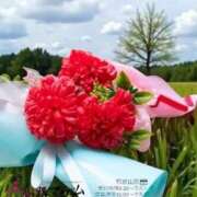 ヒメ日記 2025/10/21 09:20 投稿 鈴谷ゆうり 五十路マダム　和歌山店