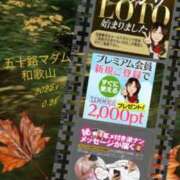 ヒメ日記 2025/10/28 06:20 投稿 鈴谷ゆうり 五十路マダム　和歌山店