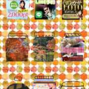 ヒメ日記 2025/11/03 07:24 投稿 鈴谷ゆうり 五十路マダム　和歌山店