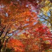 ヒメ日記 2025/11/05 07:02 投稿 鈴谷ゆうり 五十路マダム　和歌山店