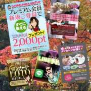 ヒメ日記 2025/11/06 08:50 投稿 鈴谷ゆうり 五十路マダム　和歌山店